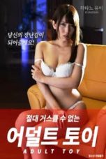 Adult Toys (2019)