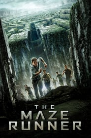 The-Maze-Runner-2014